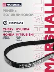 MARSHALL M6310614