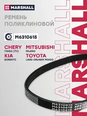 MARSHALL M6310615