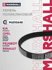 MARSHALL M6310645