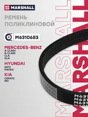 MARSHALL M6310653