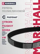 MARSHALL M6310667
