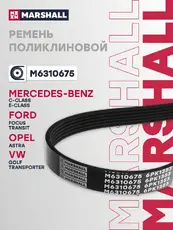 MARSHALL M6310675