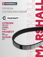 MARSHALL M6310677