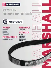 MARSHALL M6310679