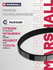 MARSHALL M6310681