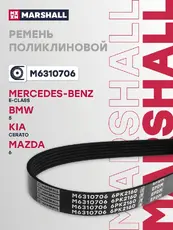 MARSHALL M6310706