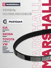 MARSHALL M6310664