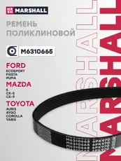 MARSHALL M6310665