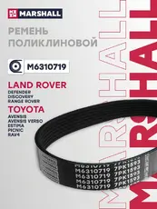 MARSHALL M6310719