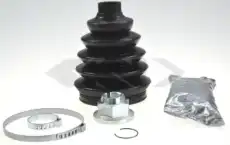 303524