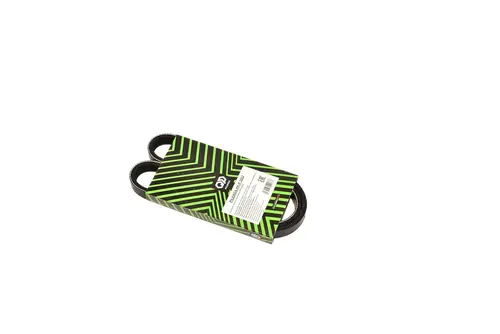 PILENGA PK-P 2022