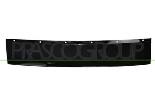Деталь BM8111235 PRASCO