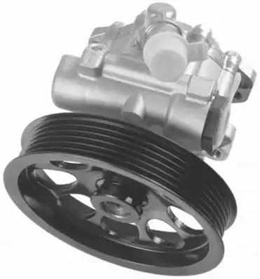 Насос гидроусилителя руля GENERAL RICAMBI PI1100