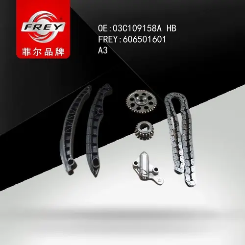Комплект для замены цепи ГРМ AUDI A3, 606501601 FREY
