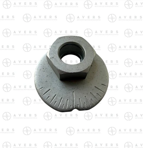 Шайба эксцентриковая 4819860020 AVERS