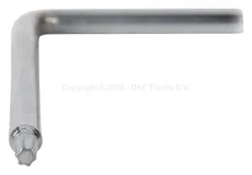  КЛЮЧ ТОРКС T30/45 1438760 TRP
