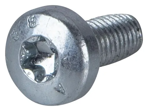  ВИНТ ГОРЕЛКИ D2/D4 1455179 TRP