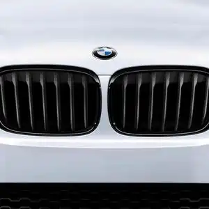 Решетка радиатора BMW 51 71 2 334 708