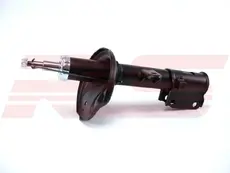 Амортизатор газ. , 04 RS10002500 RS RECORD