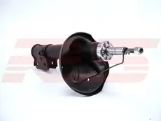 Амортизатор газ. , 04 RS10002504 RS RECORD