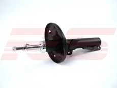 Амортизатор газ. 9396 RS10007606 RS RECORD