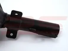 Амортизатор газ. 9396 RS10007606 RS RECORD
