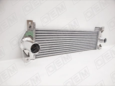 Интеркулер OEM OEM0021INT