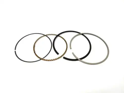 Кольца поршневые CHERY / EXEED 480EF-1004030CA