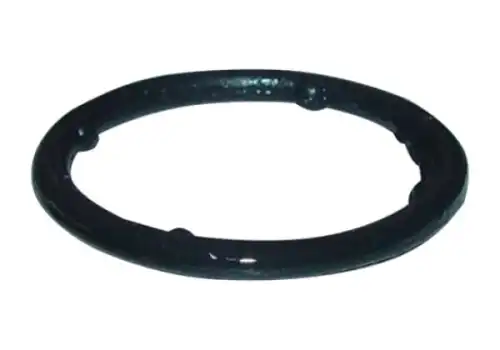 Кольцо уплотнительное автомобильное CHERY / EXEED 372-1307015