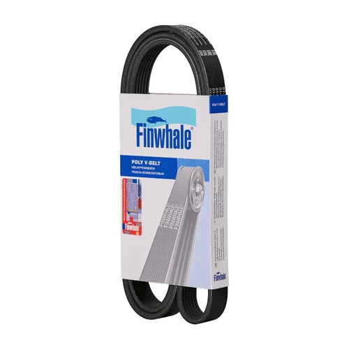 FINWHALE BP6PK1538