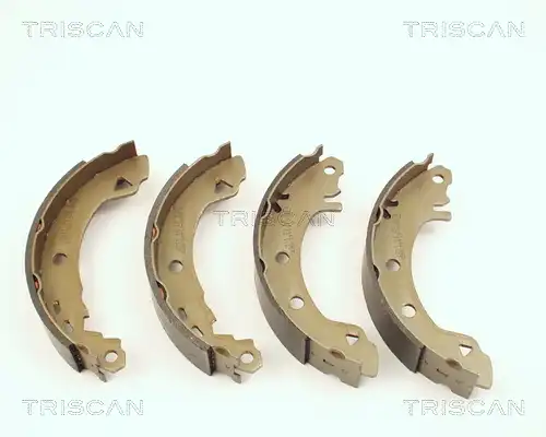 колодки бараб. торм. AR 8100 10487 TRISCAN