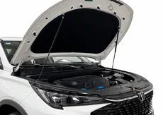 Амортизатор капота RIVAL A.ST.8909.1