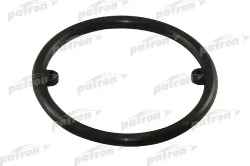 Кольцо уплотнительное P180009 PATRON