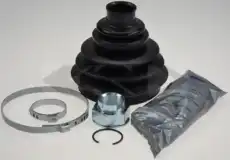 303263