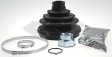 303264