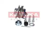 KAMOKA 5500061