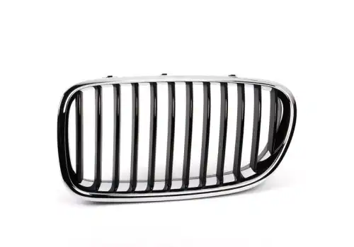 Решетка радиатора BMW 51 13 8 054 491