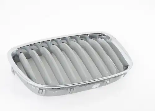 Решетка радиатора BMW 51137202110