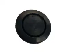 ЗАГЛУШКА 01658-00155 NISSAN