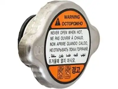 Крышка радиатора MOBIS 253301G010