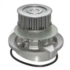 OSSCA 00212