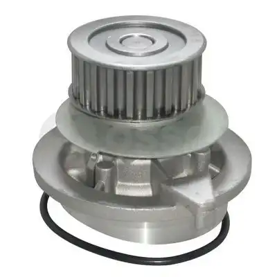 OSSCA 00212