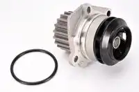 помпа Audi D1W049TT THERMOTEC