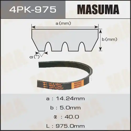 MASUMA 4PK975