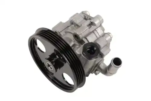 Насос гидроусилителя руля GM 95040945