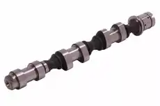 Распредвал GM 12625987