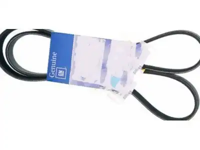 GM 55595700