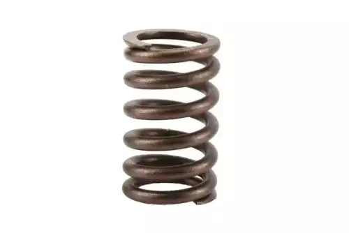 10212811 SPRING-VL GM