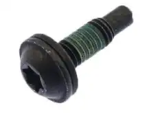 15685550 Винт GM