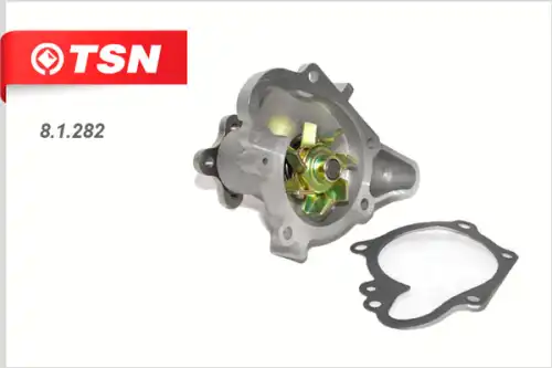 TSN 81282
